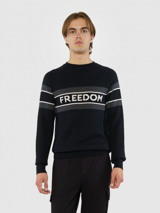 Джемпер Arber модель F10.01.02.331 Фото