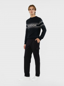 Джемпер Arber модель F10.01.02.331 Фото