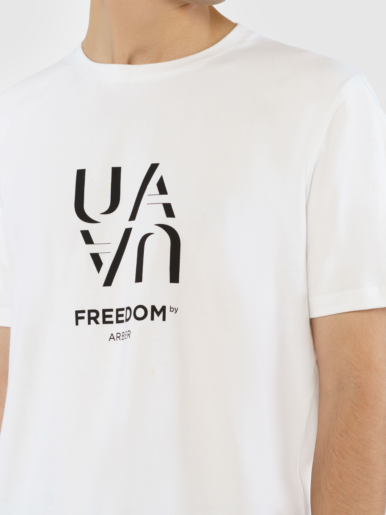 Футболка Arber модель F13.01.00.331 Фото