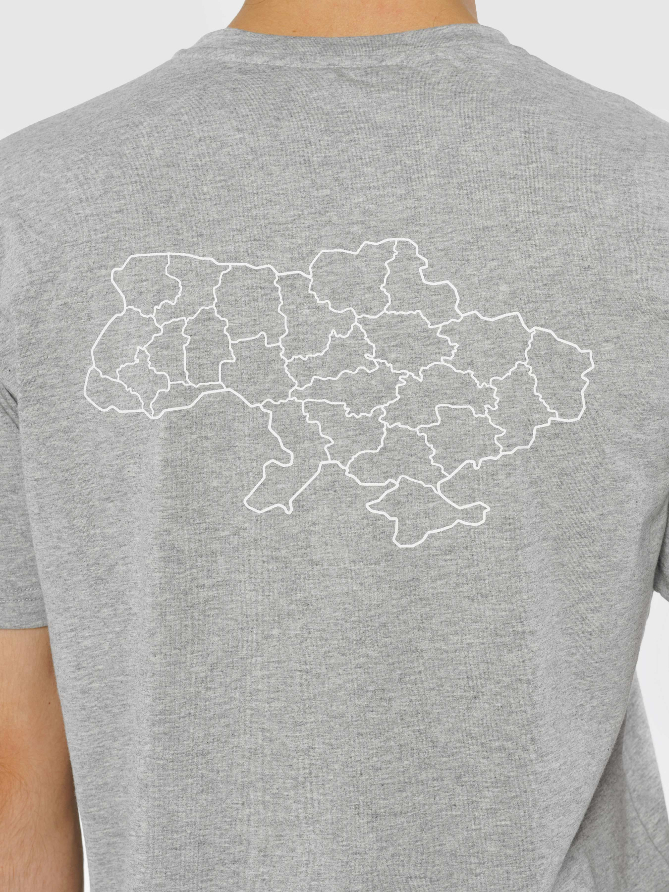 Футболка Arber модель F13.10.13.331 Фото