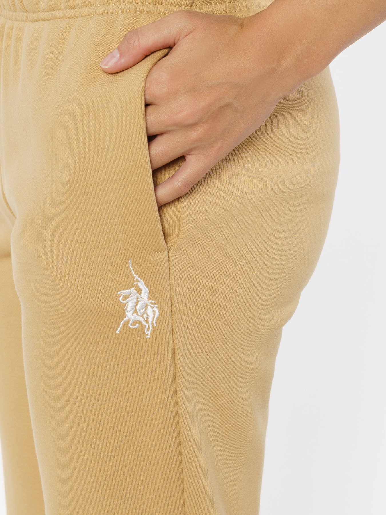 Штаны спортивные Arber модель FW26.07.16.33 Фото