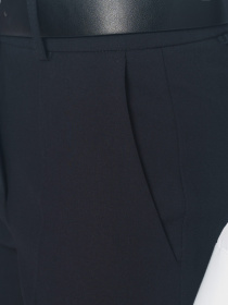 Классические штаны Arber модель W01.10.02.333 Фото