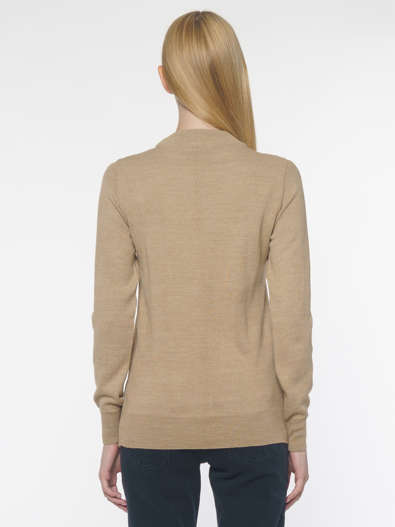 Джемпер Arber модель W10.05.16.331 Фото