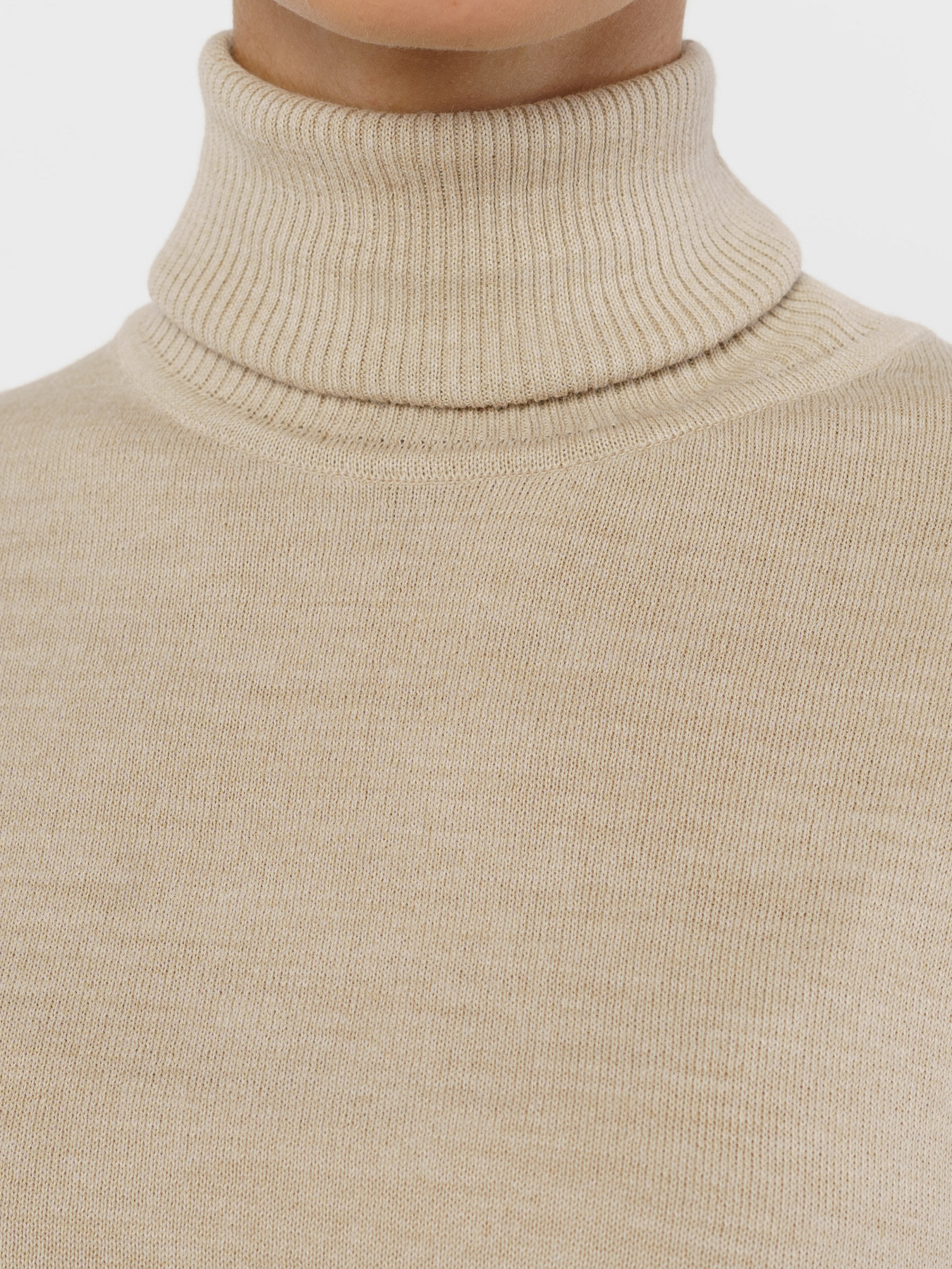 Водолазка Arber модель W10.11.16.331 Фото