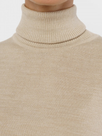 Водолазка Arber модель W10.11.16.331 Фото