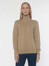 Свитер Arber модель W10.18.16.331 Фото