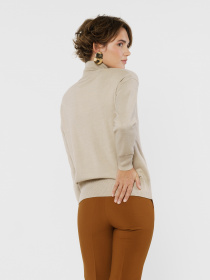 Свитер Arber модель W10.21.16.341 Фото