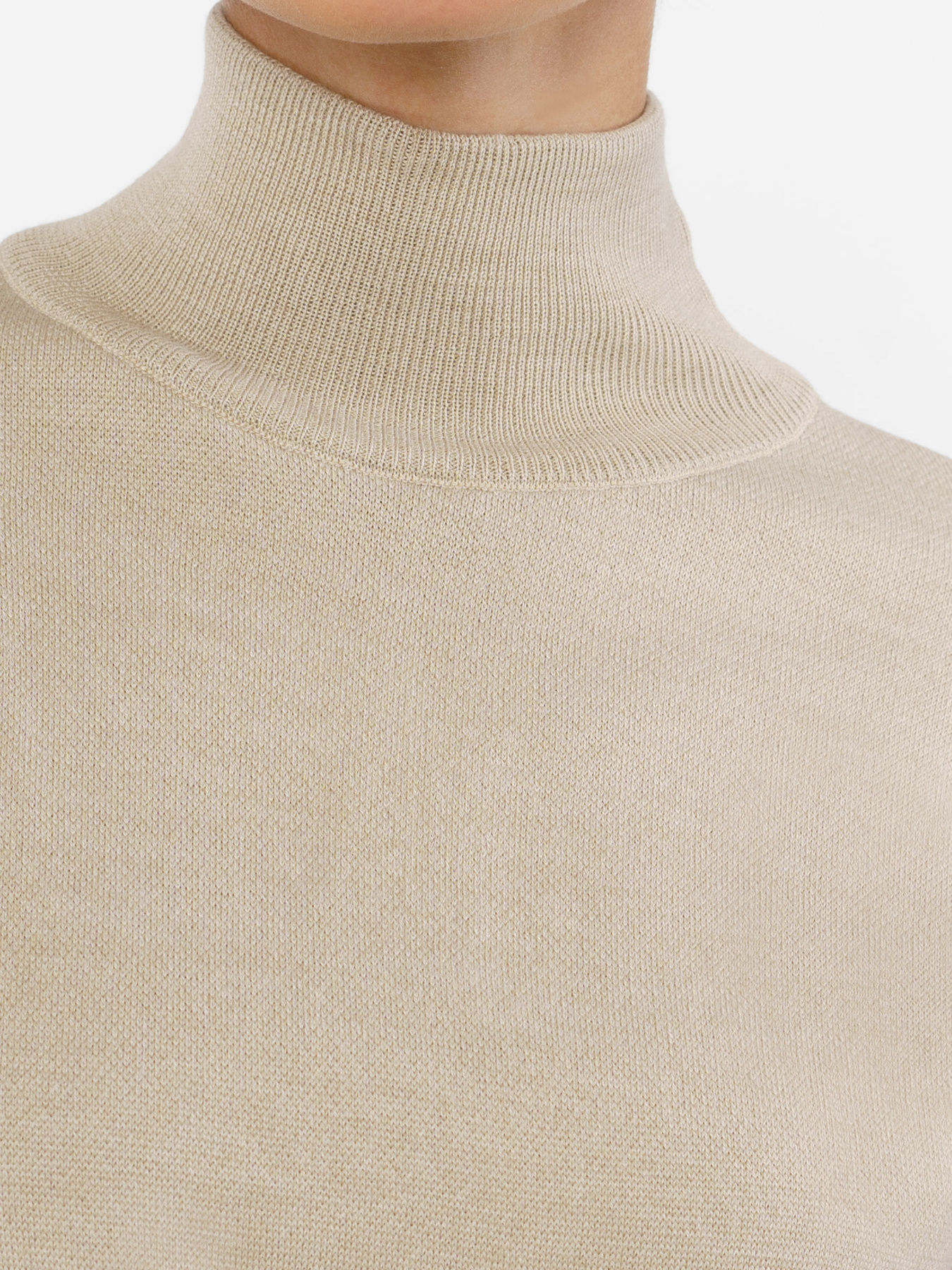 Свитер Arber модель W10.21.16.341 Фото