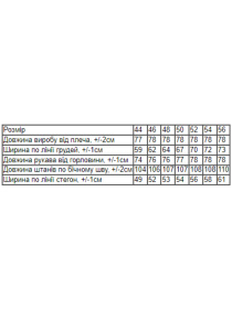 Спортивний костюм Носи своє модель 8373-025-chornij Фото