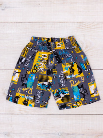 Шорты Носи своє модель 6091-002-nadpisi-graft Фото