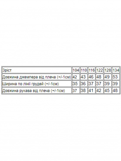 Світшот Носи своє модель 6069-057-33-5-chornilxno-sinj — фото - INTERTOP