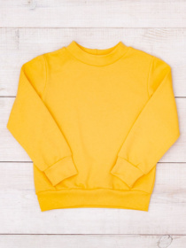 Свитшот Носи своє модель 6069-023-5-psochnij Фото