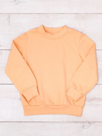 Свитшот Носи своє модель 6069-023-5-pomaranchevo-persikovij Фото