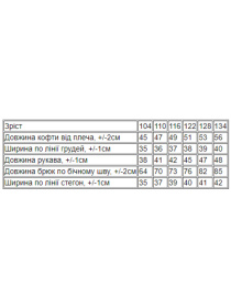 Спортивный костюм Носи своє модель 6018-023-33-3-persik Спортивный костюм Носи своє модель 6018-023-33-3-persik Фото