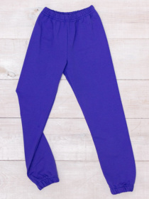 Джоггеры Носи своє модель 6155-057-5-vasilxkovij Фото