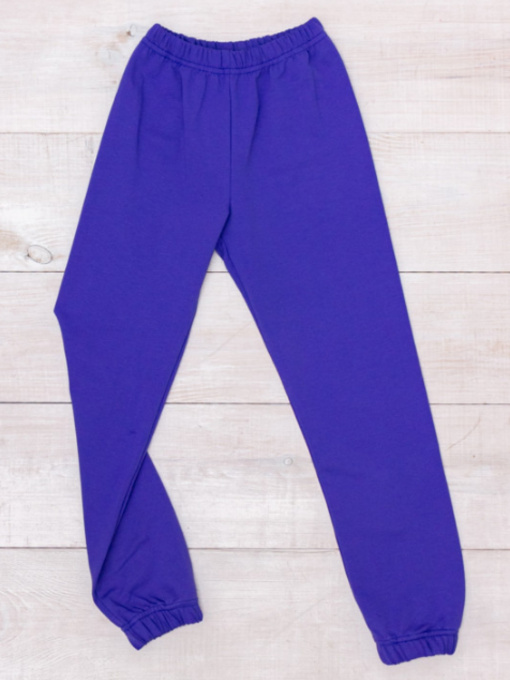 Джоггеры Носи своє модель 6155-057-5-vasilxkovij Фото