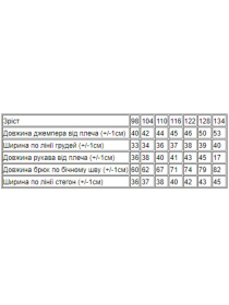 Спортивный костюм Носи своє модель 6063-023-33-3-blij-serdechka Фото