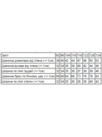 Костюм Носи своє Модель 6063-023-33-4-temno-fstashkovij Фото