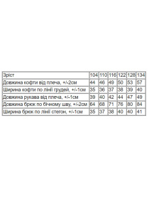Спортивный костюм Носи своє модель 6018-023-33-chornilxno-sinj Спортивный костюм Носи своє модель 6018-023-33-chornilxno-sinj Фото