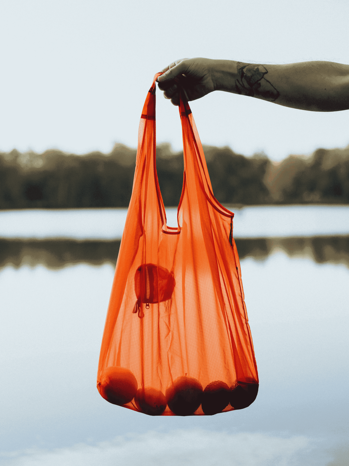 Экосумка Levitate модель Monolite Flame Фото