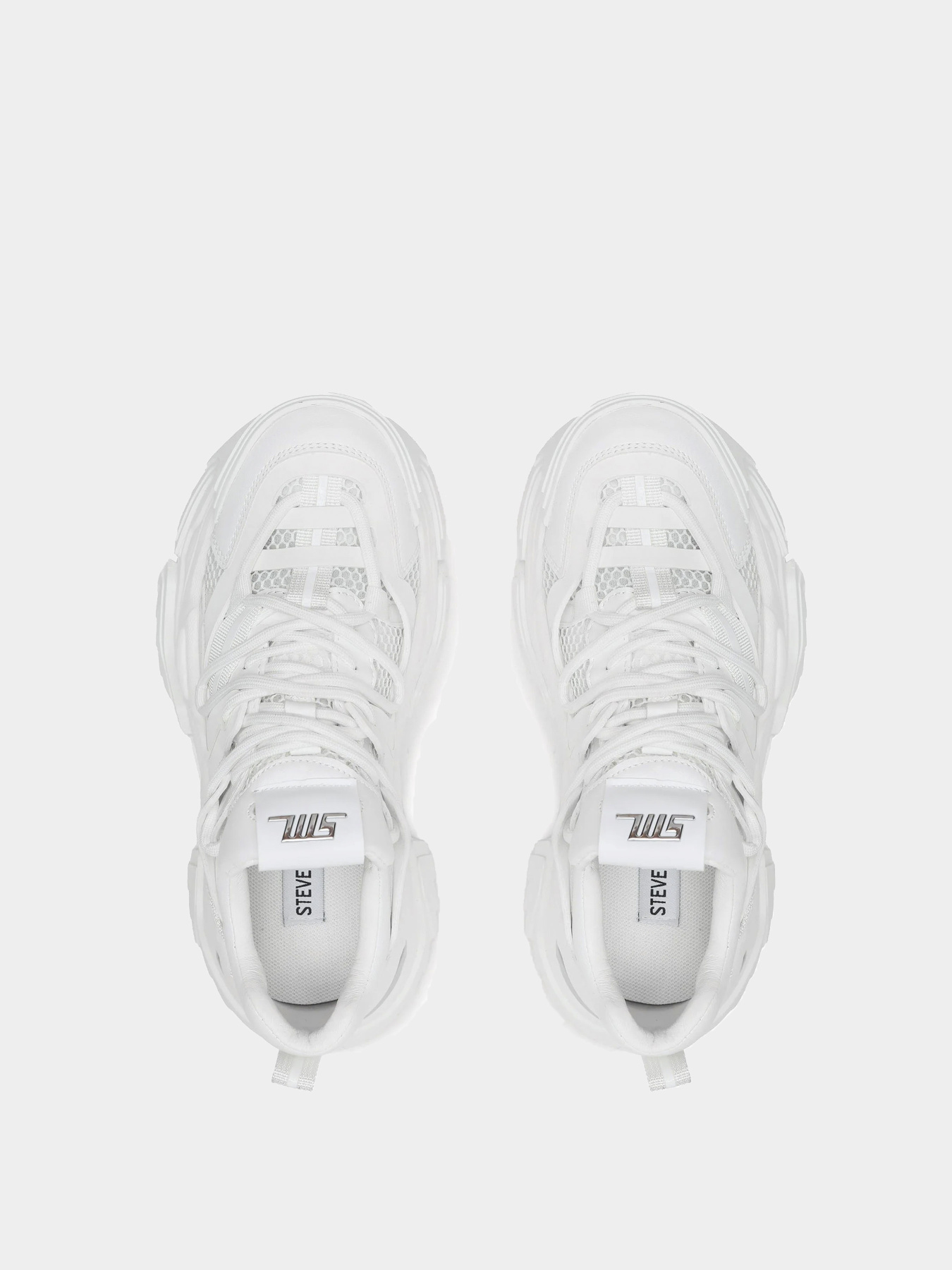 Кроссовки Steve Madden модель SM11002519 WHITE/WHITE Фото