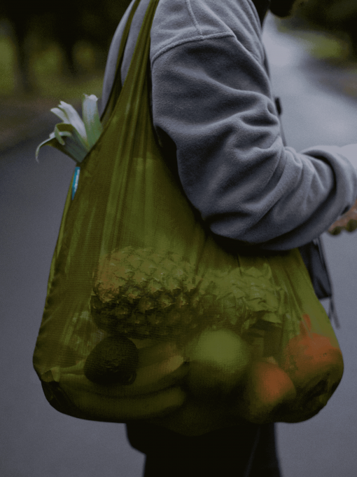 Экосумка Levitate модель Monolite Oliva Фото