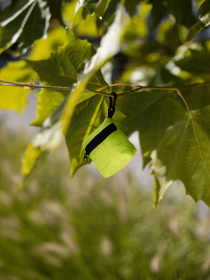 Экосумка Levitate модель Eco bag "OCEAN" Фото