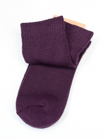 Шкарпетки ISSA Plus модель NS-346_фиолетовый Фото