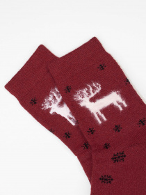 Носки ISSA Plus модель NS-348_бордовый Фото