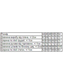 Спортивный костюм Носи своє модель 8370-025-chornilxno-sinj Фото