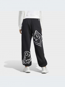 Повсякденні штани Adidas Graphics модель HY4265 Фото