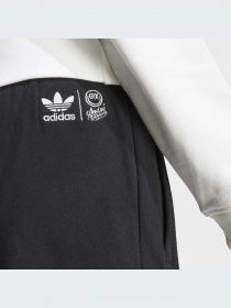 Повсякденні штани Adidas Graphics модель HY4265 Фото