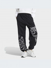 Повсякденні штани Adidas Graphics модель HY4265 Фото