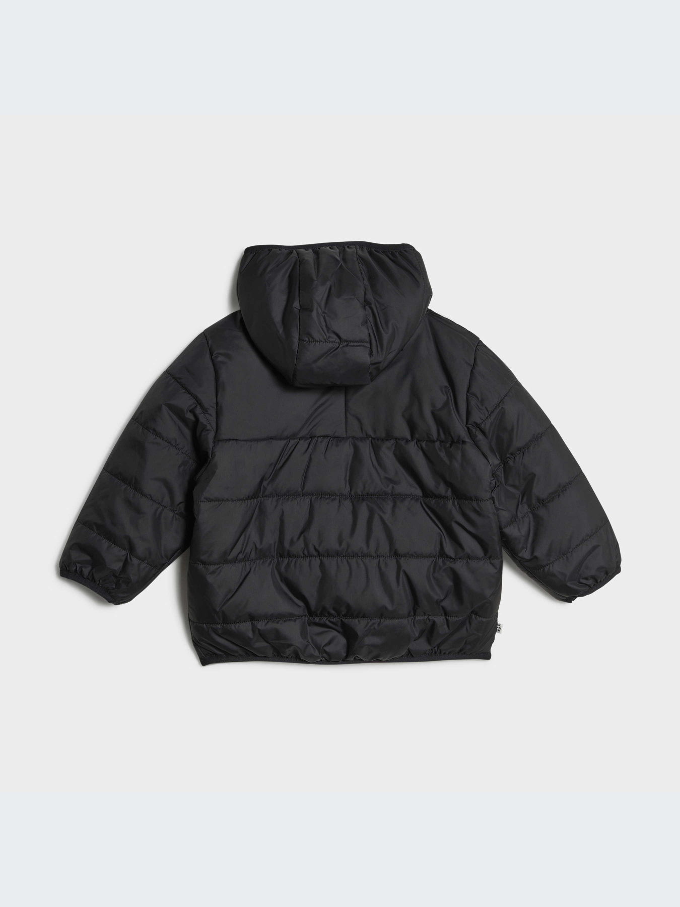 Куртки и дубленки Adidas Adicolor модель HK7451 Куртки и дубленки Adidas Adicolor модель HK7451 Фото