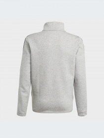 Спортивный костюм Adidas модель GN3987 Фото