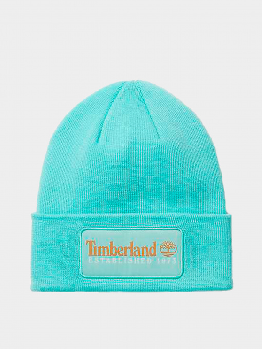 Шапки и кепки Timberland модель TB0A2PTDEB9 Фото