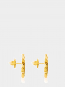 Пусети TOUS модель 712333010 Фото