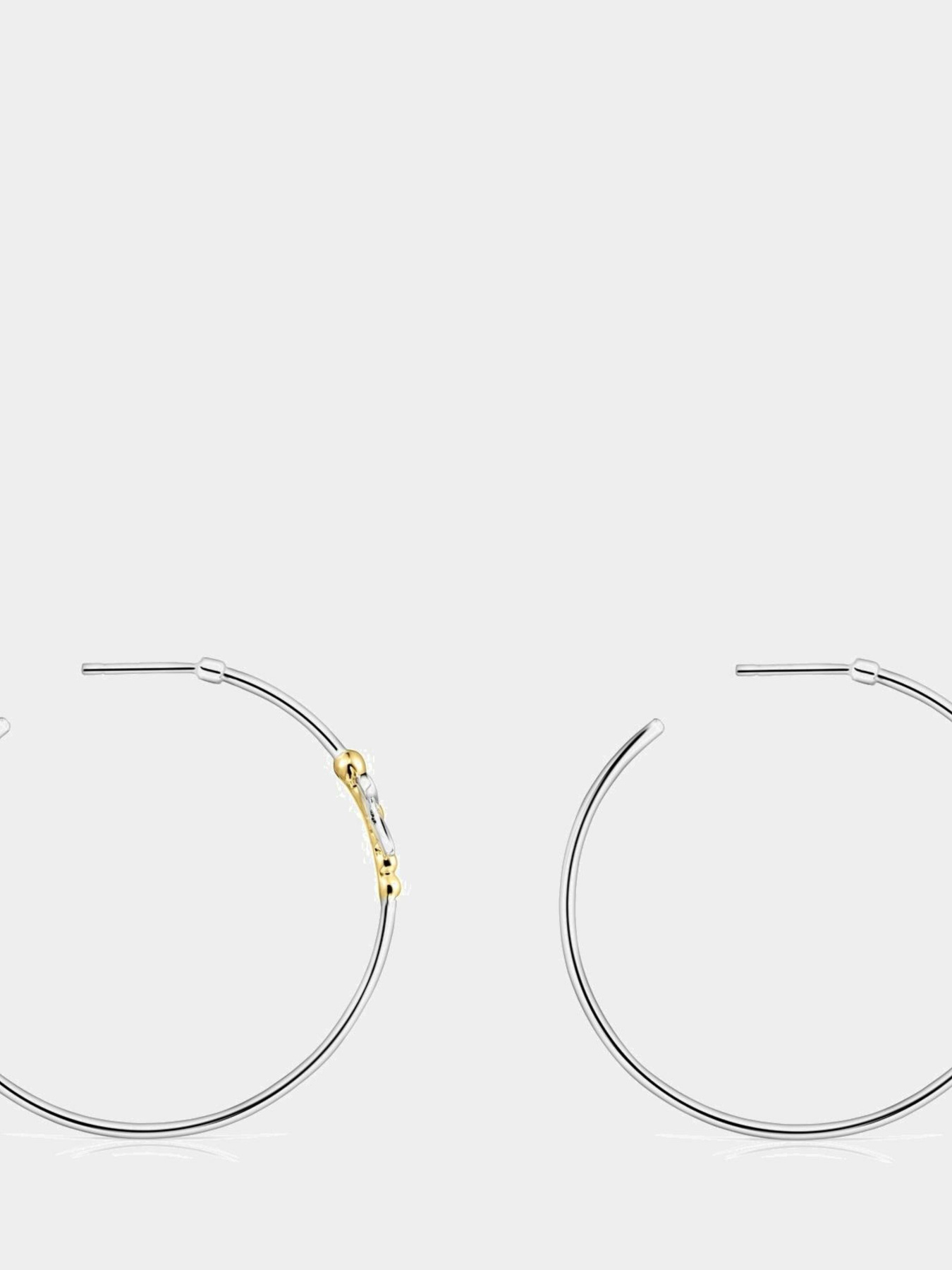 Підвіси TOUS модель 812463500 Фото