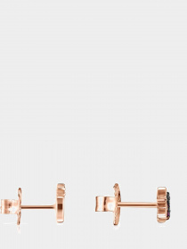 Серьги-гвоздики TOUS модель 915303540 Фото