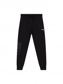 Штаны спортивные PUMA Posterize Sweat Pant модель 536336 Фото