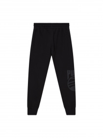 Спортивні штани PUMA Posterize Sweat Pant модель 536336 Фото