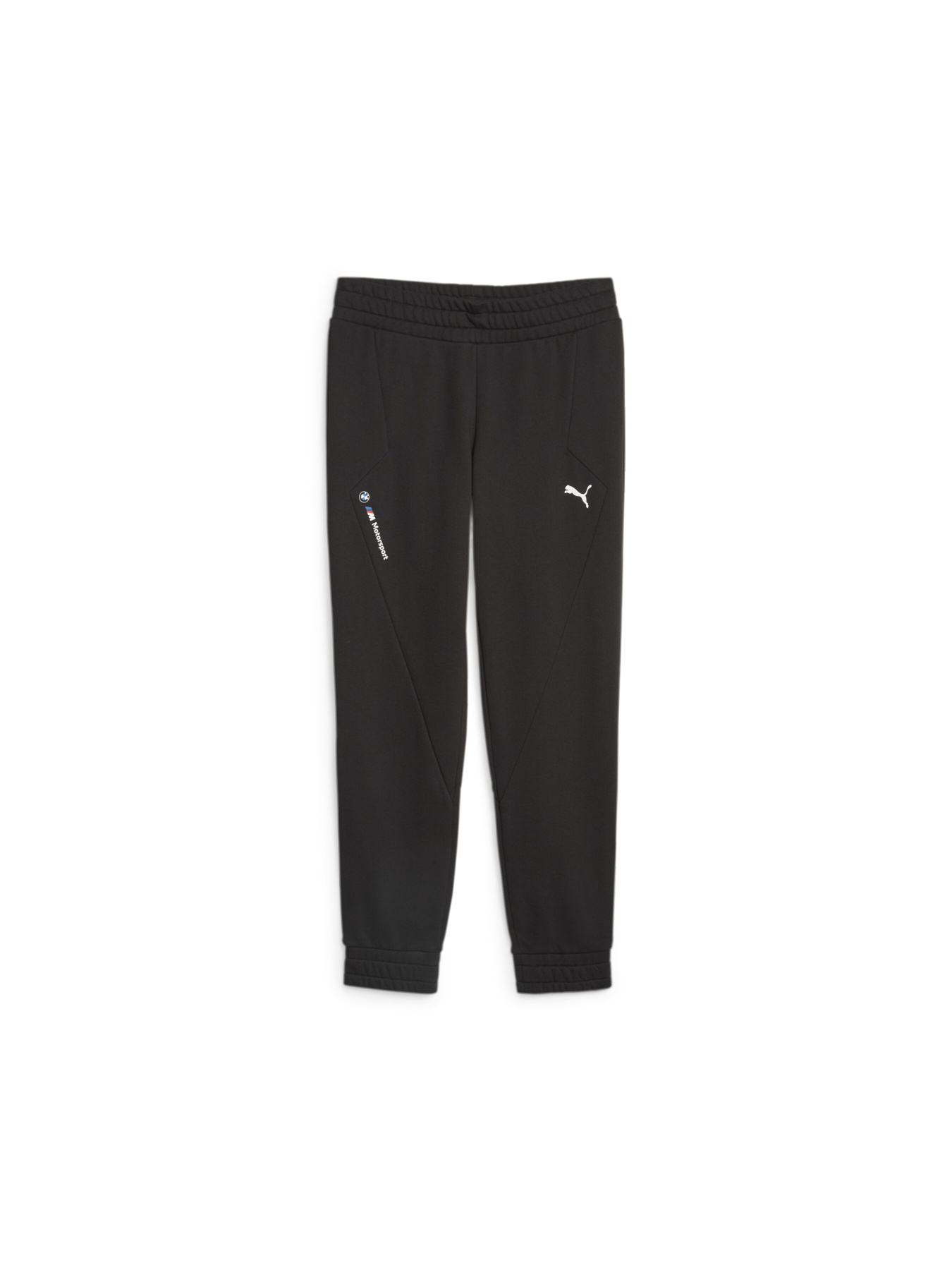 Штаны спортивные PUMA Bmw Mms Wmn Sweat Pants, Cc модель 621364 Фото