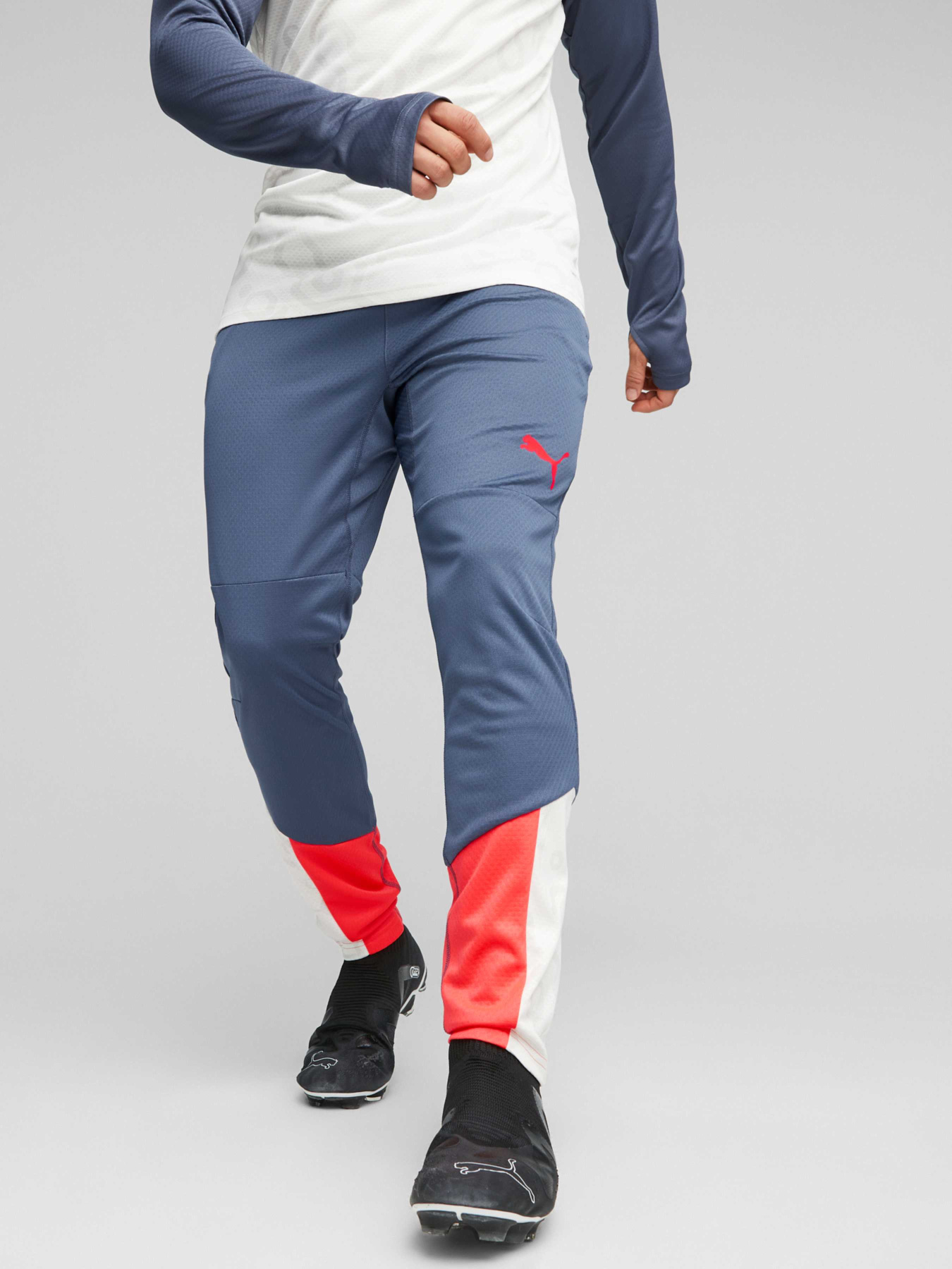 Штаны спортивные PUMA Individualcup Training Pants модель 658487 Фото