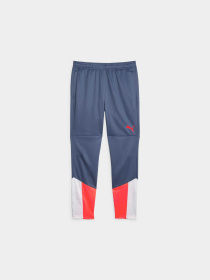 Штаны спортивные PUMA Individualcup Training Pants модель 658487 Фото