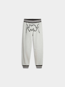 Штани спортивні PUMA Franchise Core Pant модель 623040 Фото