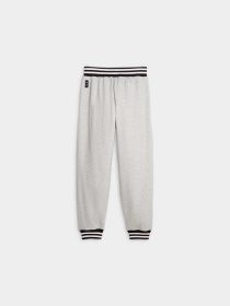 Штаны спортивные PUMA Franchise Core Pant модель 623040 Фото