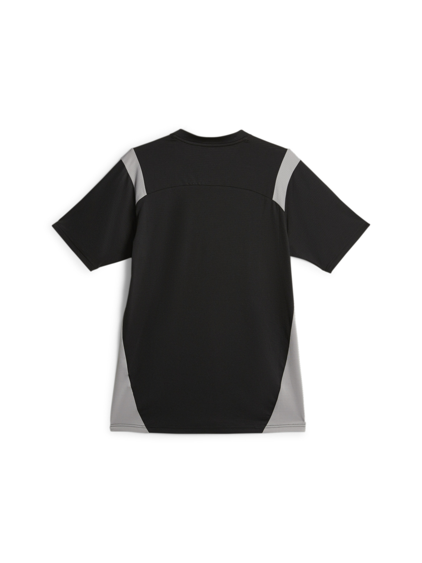 Футболка спортивная PUMA King Pro Jersey модель 658347 Фото