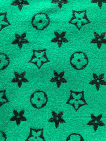 Шарф Regina Notte модель 4000000214306 Фото