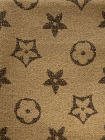 Шарф Regina Notte модель 4000000214429 Фото