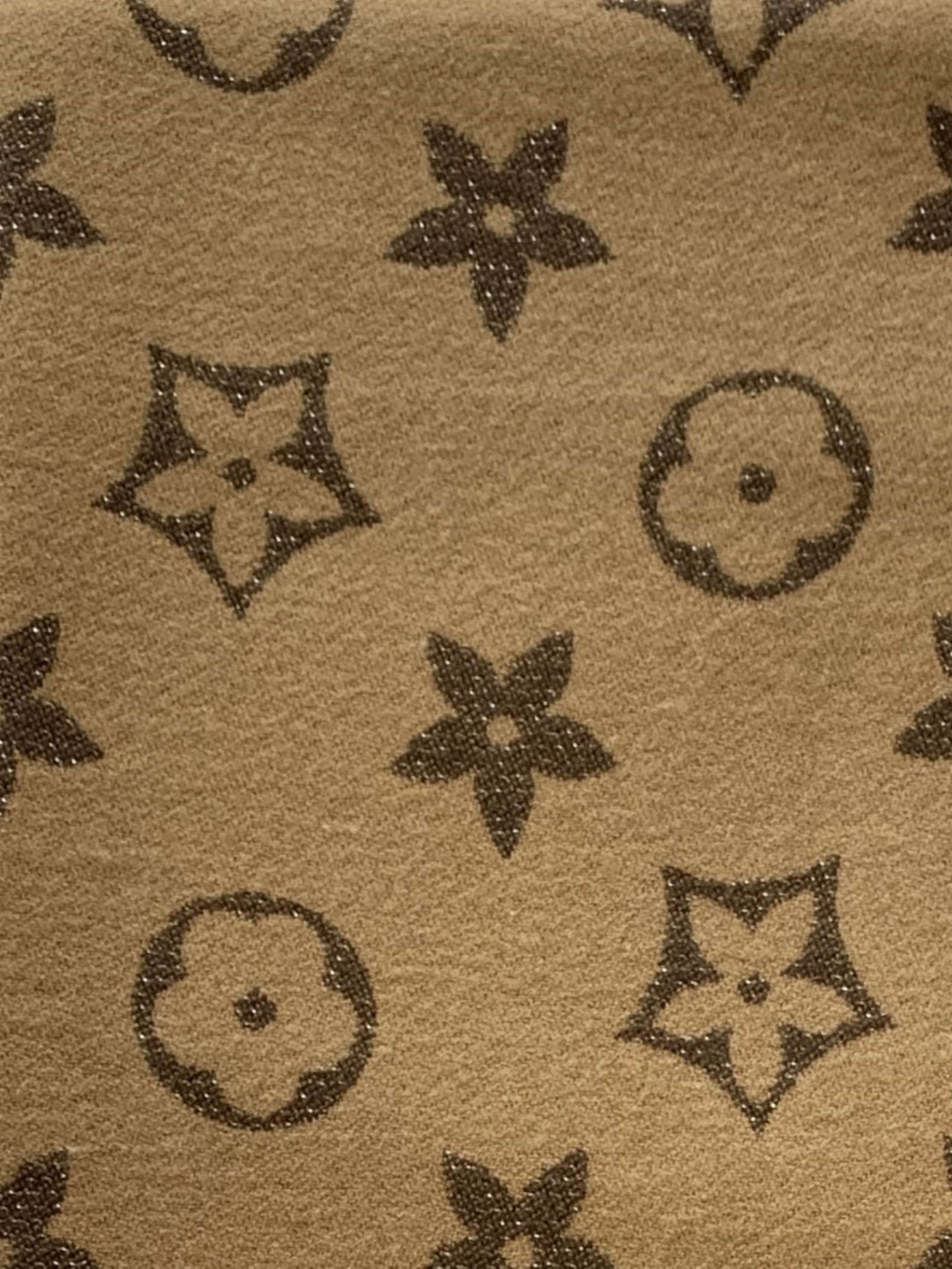 Шарф Regina Notte модель 4000000214429 Фото